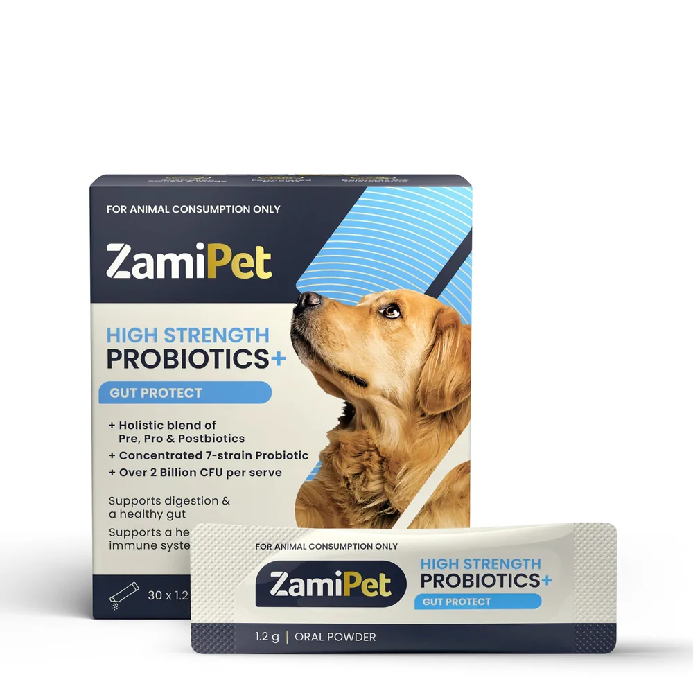 ZamiPet High Strength Probiotics+ Gut Protect - 1.2g x 30