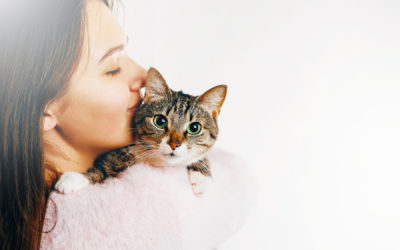 6 Steps for Successful and Stress-Free Cat Parasite Treatment