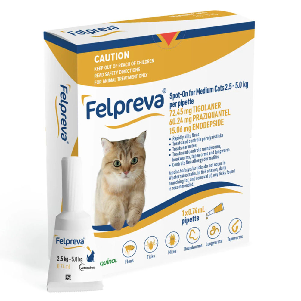 FELPREVA CAT SPOT ON >2.5KG-5KG (1 PIP)
